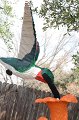Kids_DFWzoo_3-2016 (28)
